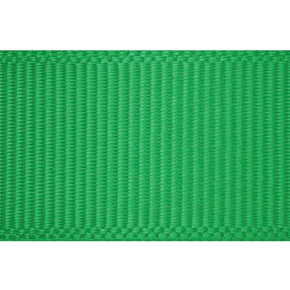 bandeira 10